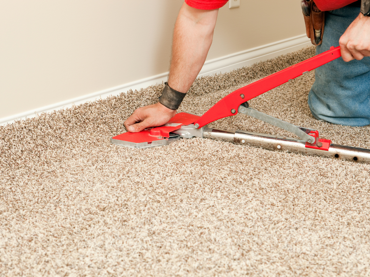 How to Stretch Carpet 