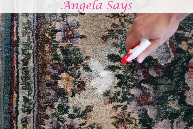 Protect Rug from Fading