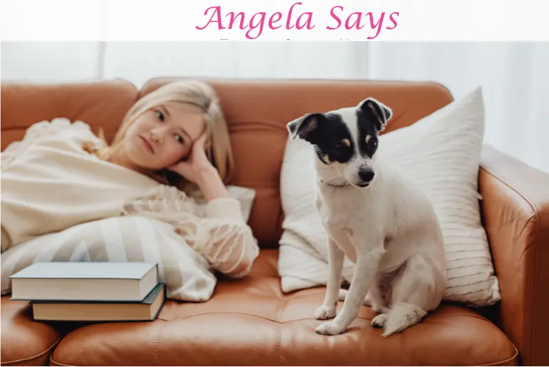 Leather Upholstery Care