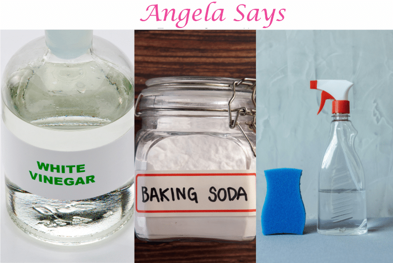 Dog Urine Cleaning Methods