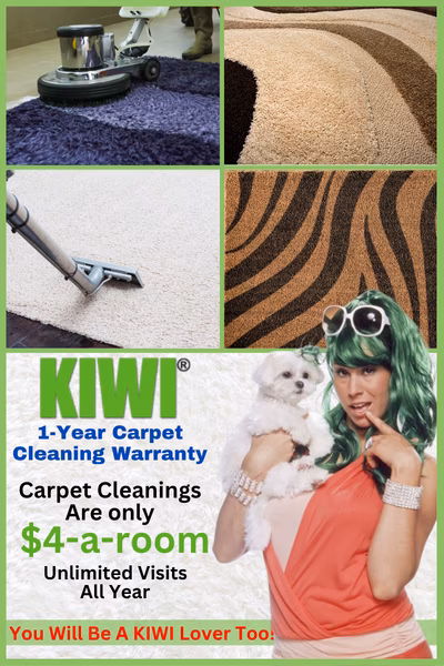 area carpet cleaning