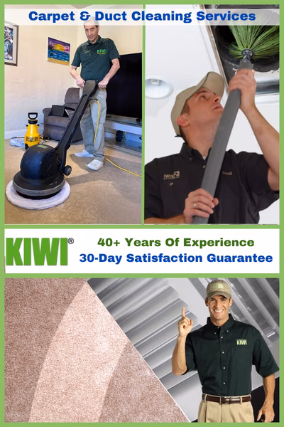 Carpet And Duct Cleaning Specialists