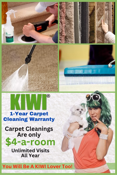 Carpet Cleaning