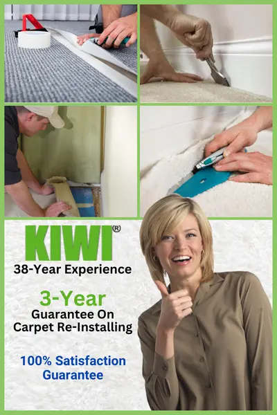 Pet Damage Carpet Repair Service