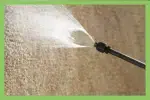 carpet sealant