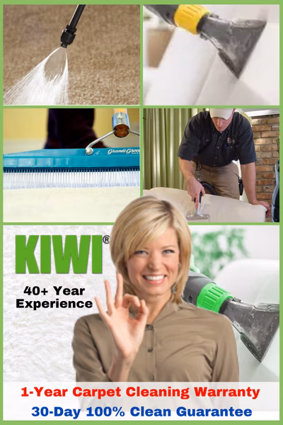 Carpet Upholstery Cleaning