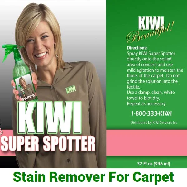 Stain remover for carpet