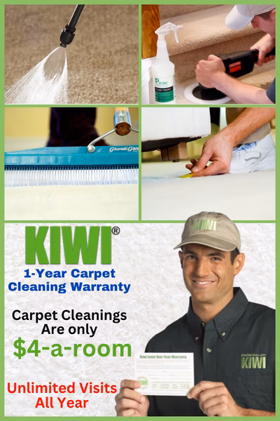 carpet cleaning Services