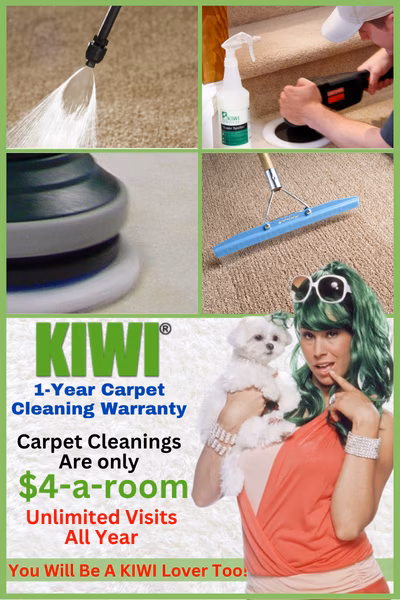 Dry Carpet Cleaning