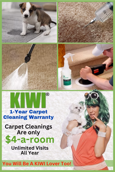 Enzyme Odor Remover Service