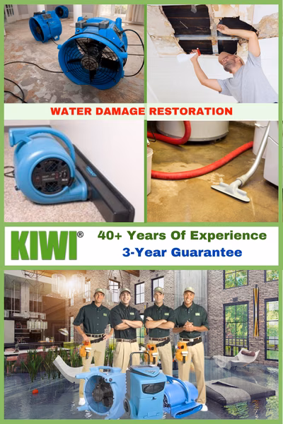 Flood Damage Water Removal Services
