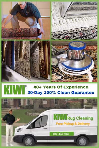 Large Area Rug Cleaning Services