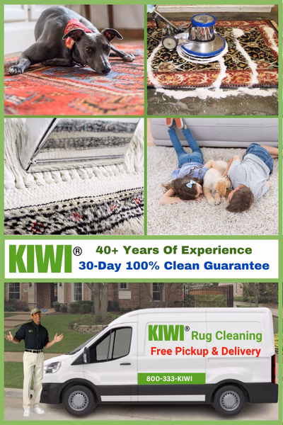 Rug Odor Removal by Kiwi Services