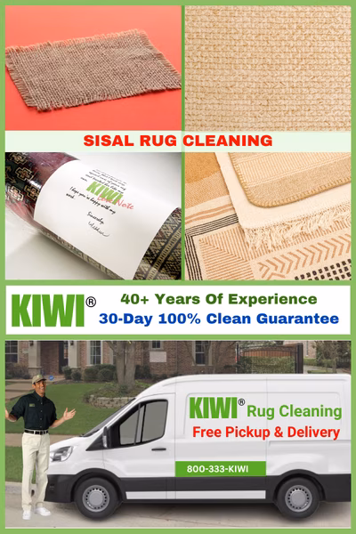 Sisal Rug Cleaning