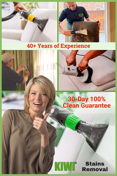 Upholstery Cleaning