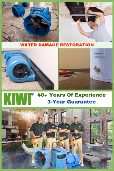 Water Heater Leak Extraction And Restoration Services