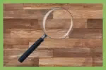 Wood Floor Inspection