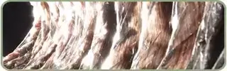 Air Ducts Cleaned Help You Breathe Easier