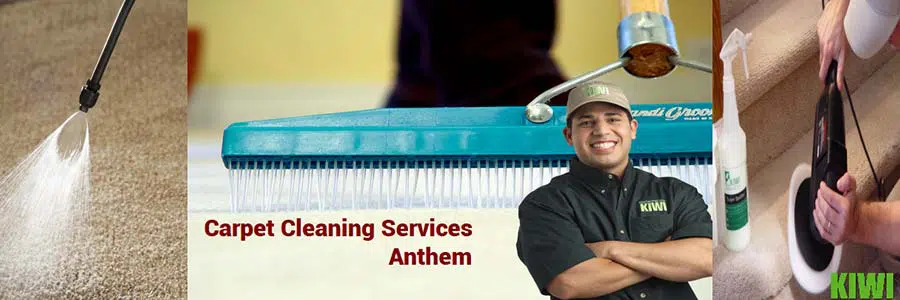 carpet cleaned by pro tech in anthem