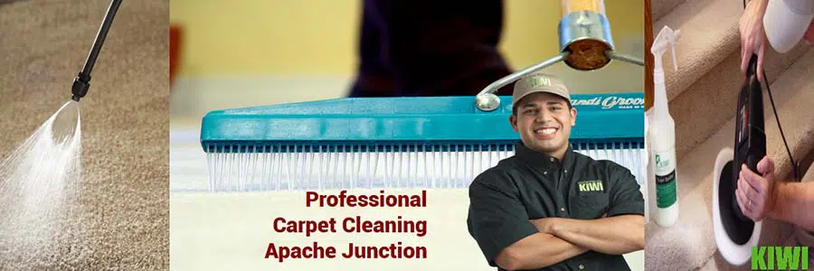 carpet cleaned by pro tech in apache junction