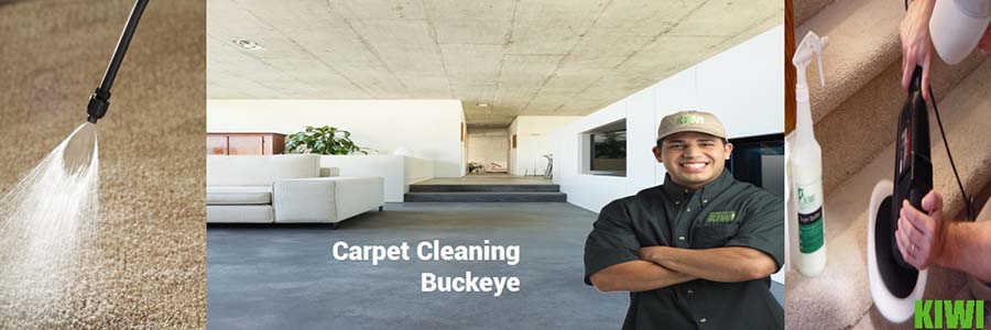 carpet cleaned by pro tech in buckeye