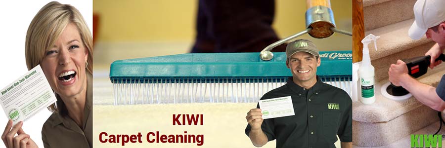 carpet cleaning by Kiwi technician in  chandler heights