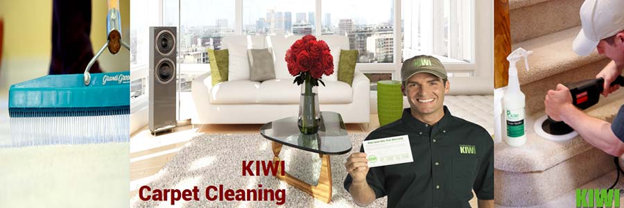 carpet cleaning by Kiwi technician in laveen