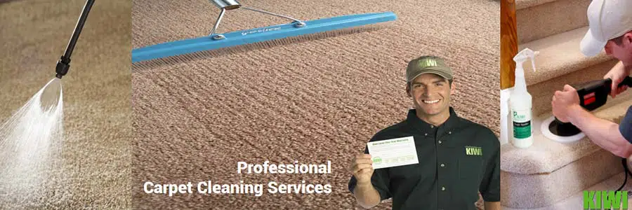 carpet cleaning by Kiwi technician in litchfield park