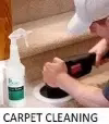Get Free Online Carpet Cleaning quote