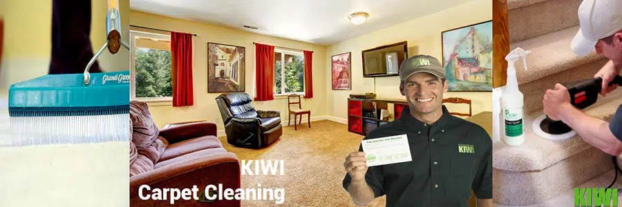 carpet cleaned and groomed in queen creek