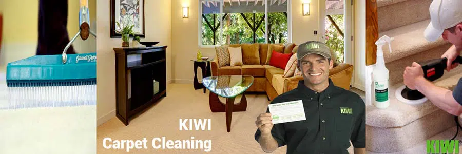 carpet cleaned and groomed in scottsdale