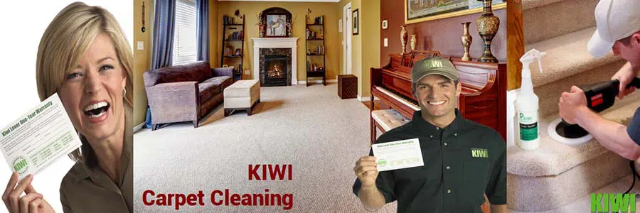 carpet cleaned and groomed in sun city
