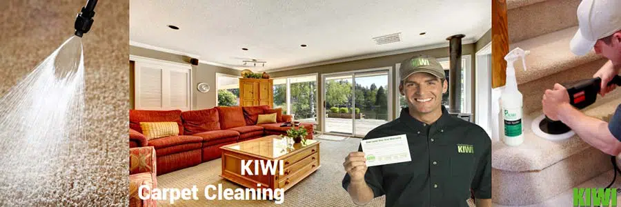 carpet cleaned and groomed in tolleson