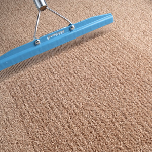 Argyle carpet cleaning