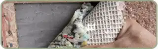 Carpet inspected while cleaning