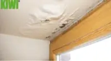 Ceiling Damage Ceiling Damage