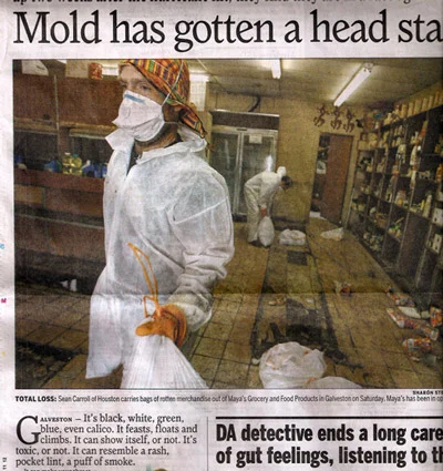 Mold Reported In Galveston From Flood Damage
