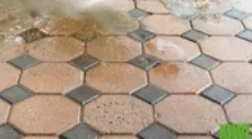 Stone Floors Stone Floors