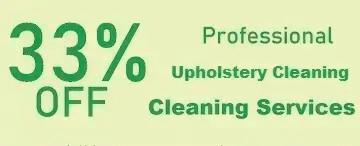 Upholstery Cleaning Services Special 33%